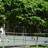 Pound Ridge Tennis