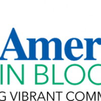 America in Bloom 2022 Evaluation Report