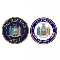 NYS Senate and State Assembly