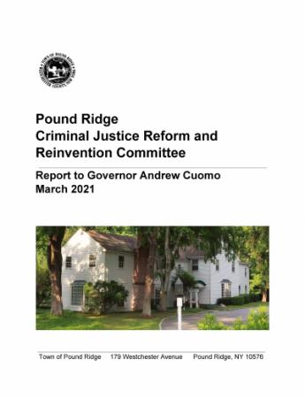 Criminal Justice Reform and Reinvention Committee Draft Report
