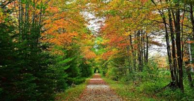 rec trails