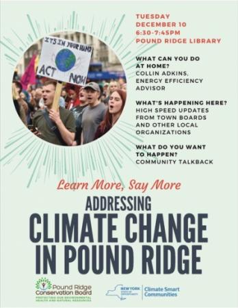 Addressing Climate Change in Pound Ridge