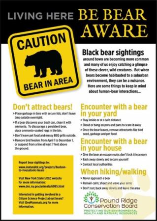 Be Bear Aware