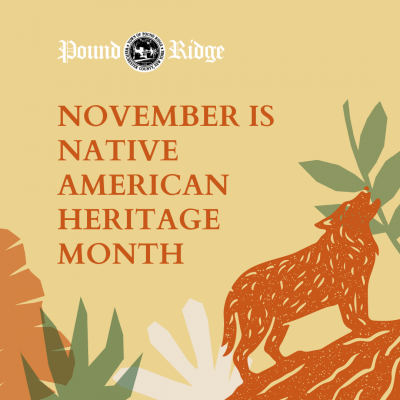 National Native American Heritage Month